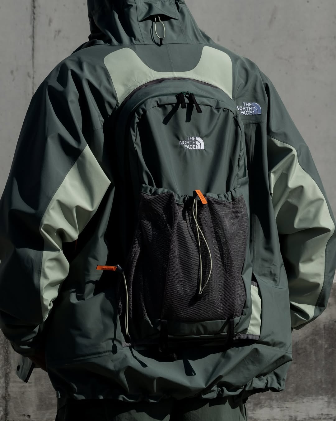 ジャンク まとめ売り THE NORTH FACE アノラック GORE-TEX LL ペンドルトン コラボ リュック バックパック NT 57911 グレー THE NORTH FACE PURPLE LABEL/CORDURA Nylon Day Pack｜Daytona